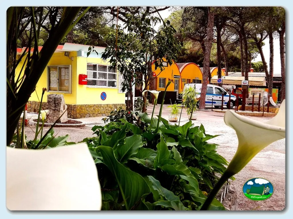 Camping C.C.L. en Costa de Caparica