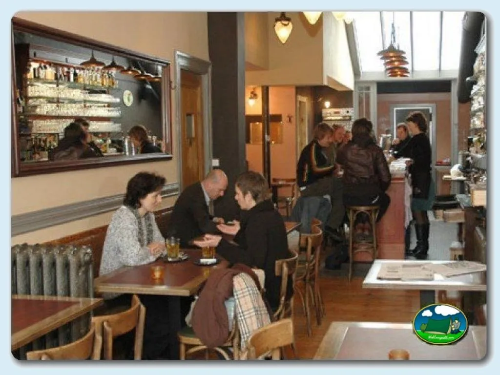 Restaurante bar con barra y clientes del Camping La Campiña, Santaella (Córdoba)