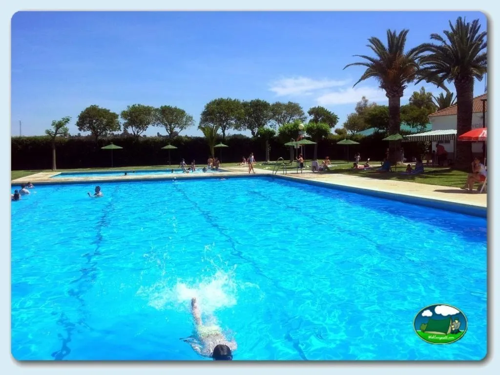 Piscina con vistas al jardín y palmeras del Camping Carlos III, La Carlota (Córdoba)