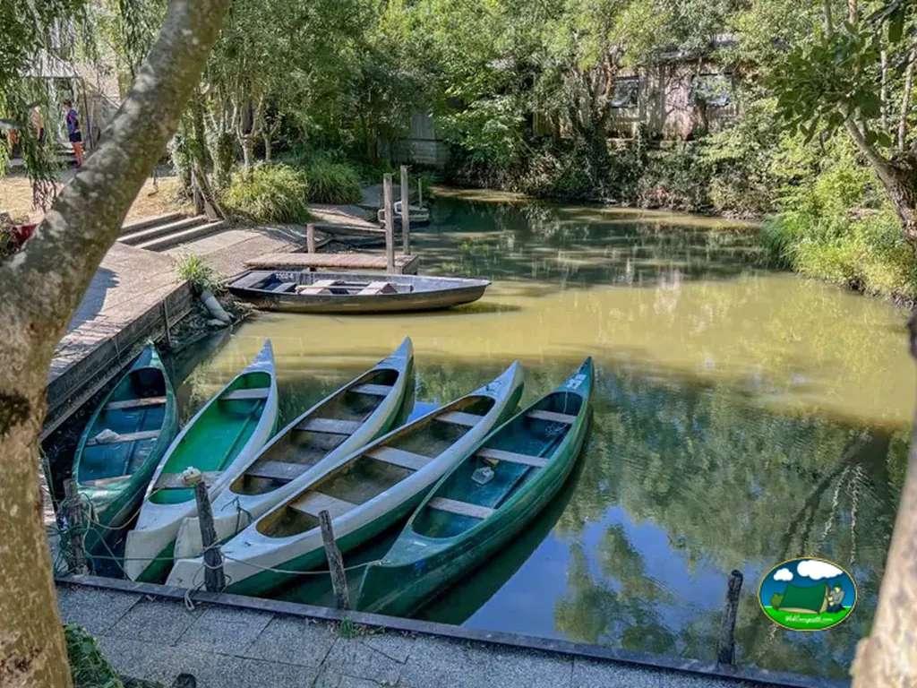 Lago con canoas