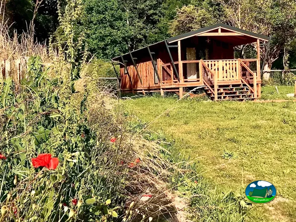 cabaña entre vegetación