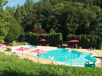 Piscina exterior rodeada de árboles