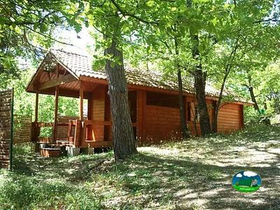 Cabaña en el bosque