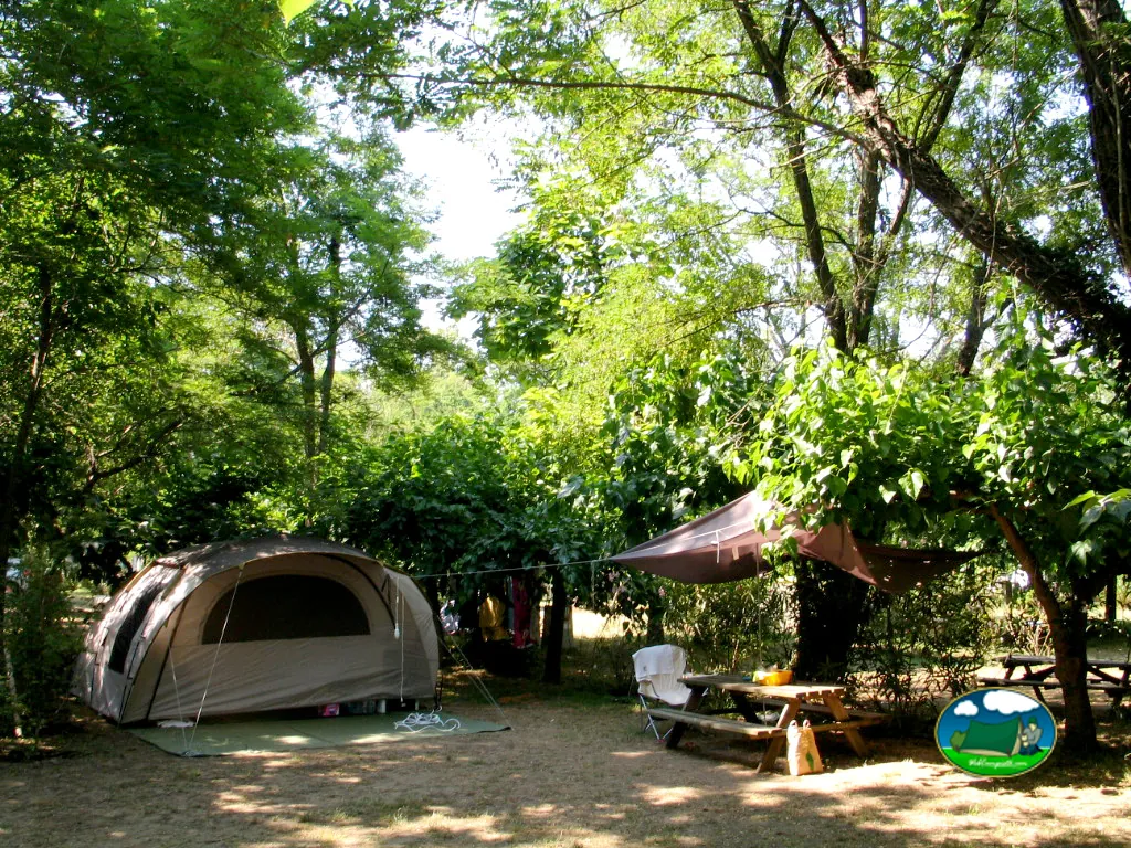 Tienda bajo árboles