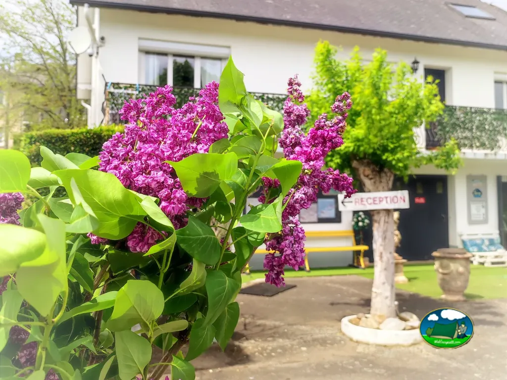 Recepción entre flores