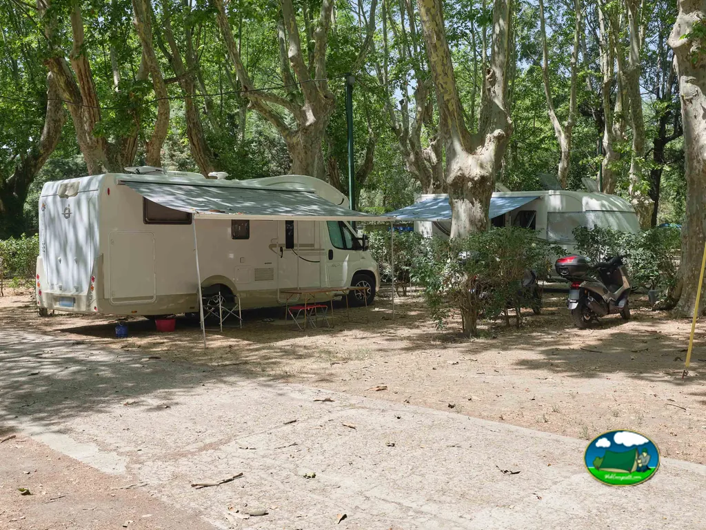 caravana bajo plátanos