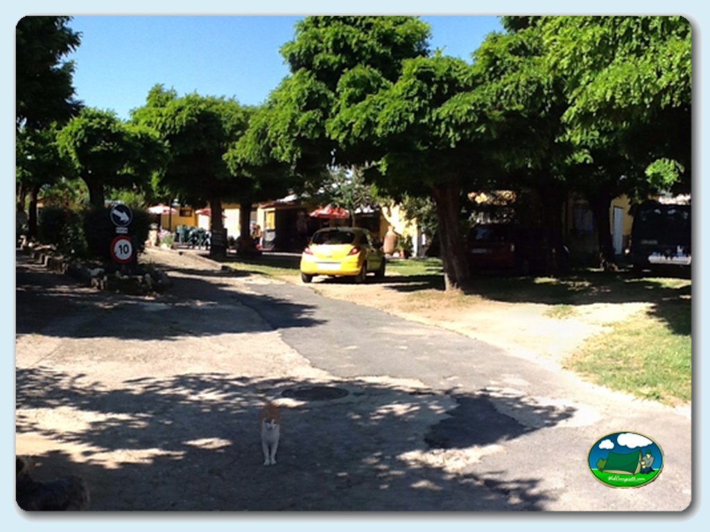 foto del camping Camping Yuste