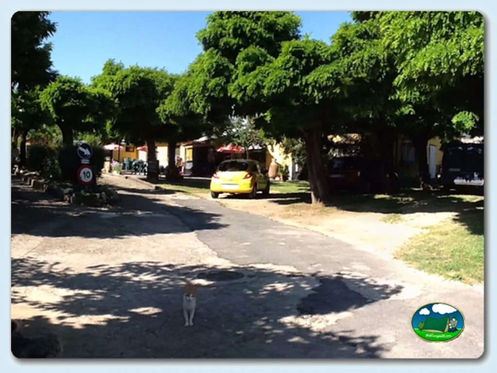 Camping Yuste en Aldeanueva de la Vera, Cáceres - imagen 3
