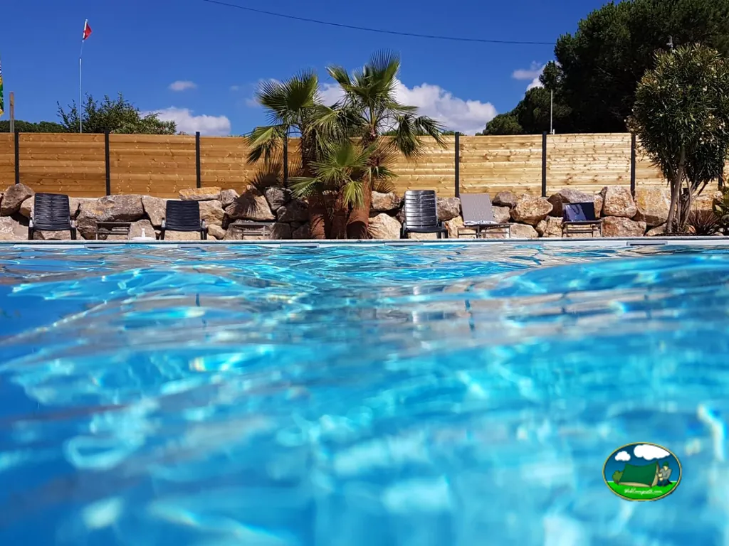 Piscina con palmeras