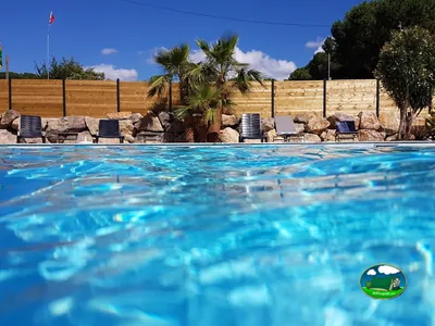 Piscina con palmeras