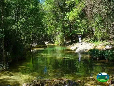 Río entre árboles con zona de baño natural del Camping Puente de las Herrerías, Cazorla (Jaén)