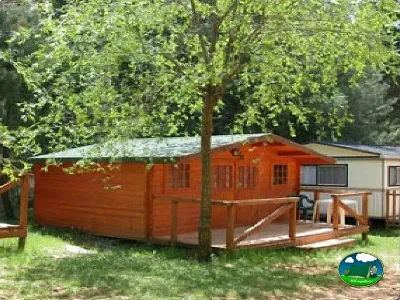Cabaña de madera con terraza entre árboles del Camping Puente de las Herrerías, Cazorla (Jaén)