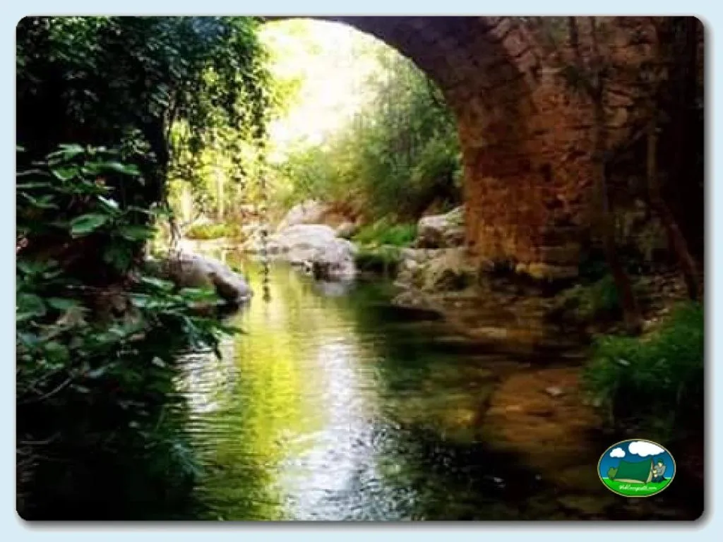 Camping Puente de las Herrerías