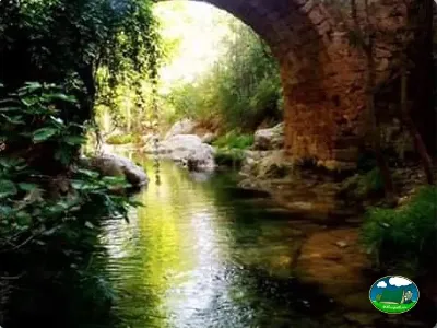 Río con vegetación y puente de piedra del Camping Puente de las Herrerías, Cazorla (Jaén)