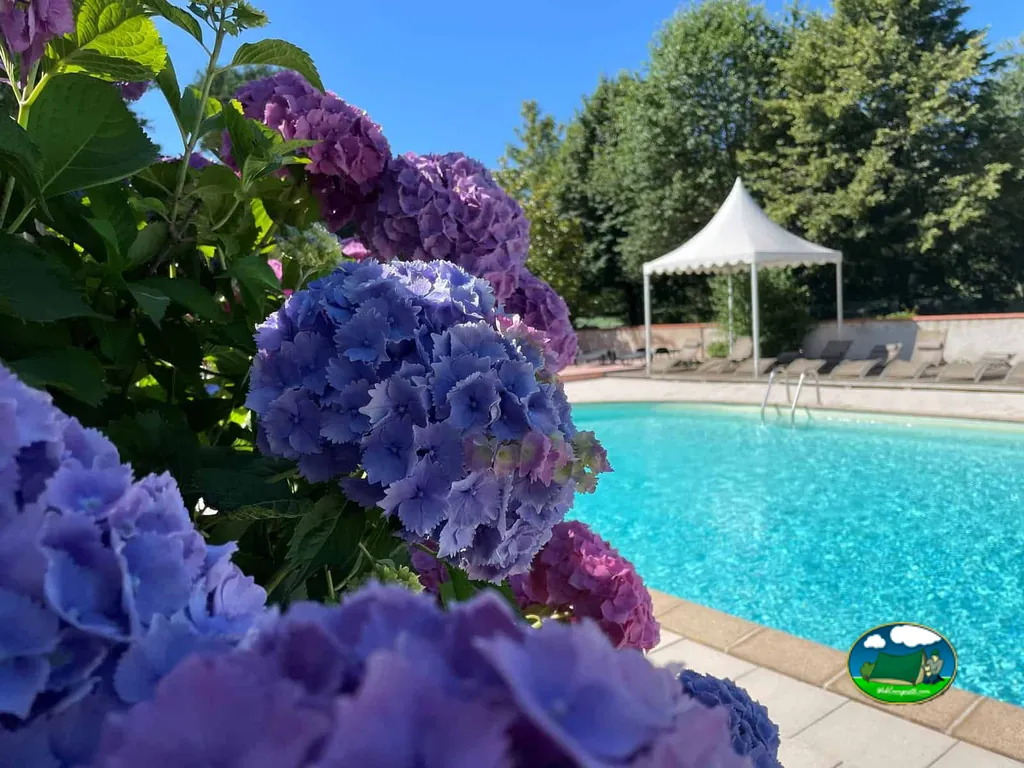 Piscina entre flores