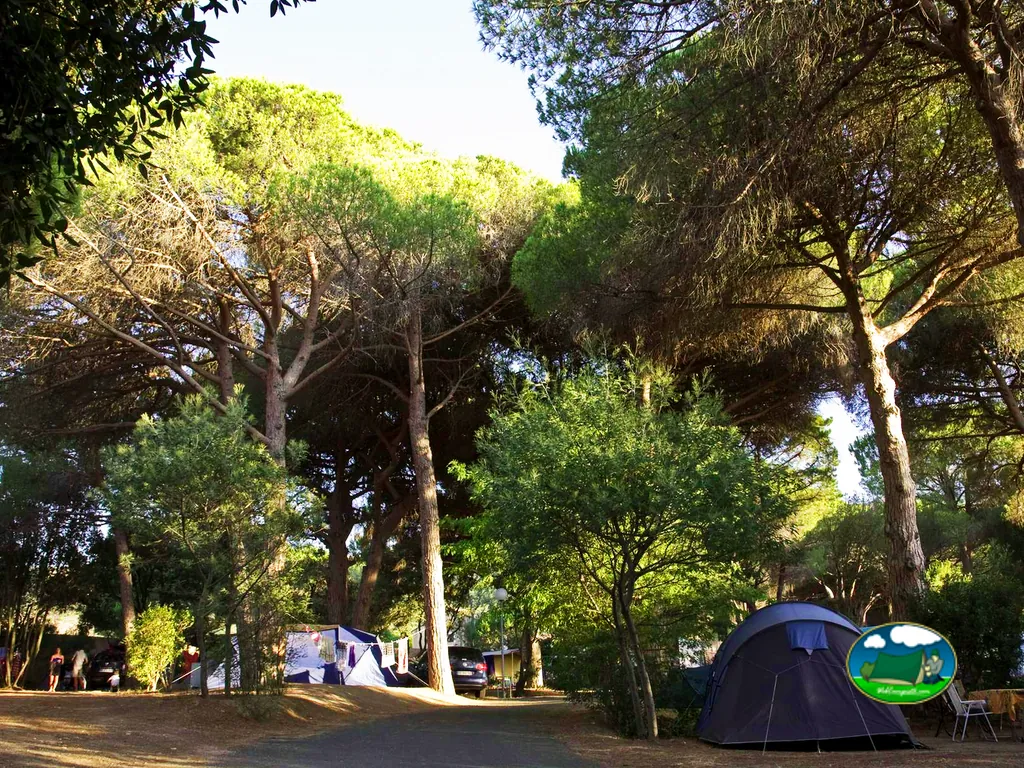 Tienda de acampada entre árboles