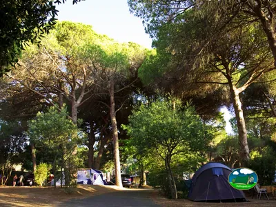 Tienda de acampada entre árboles