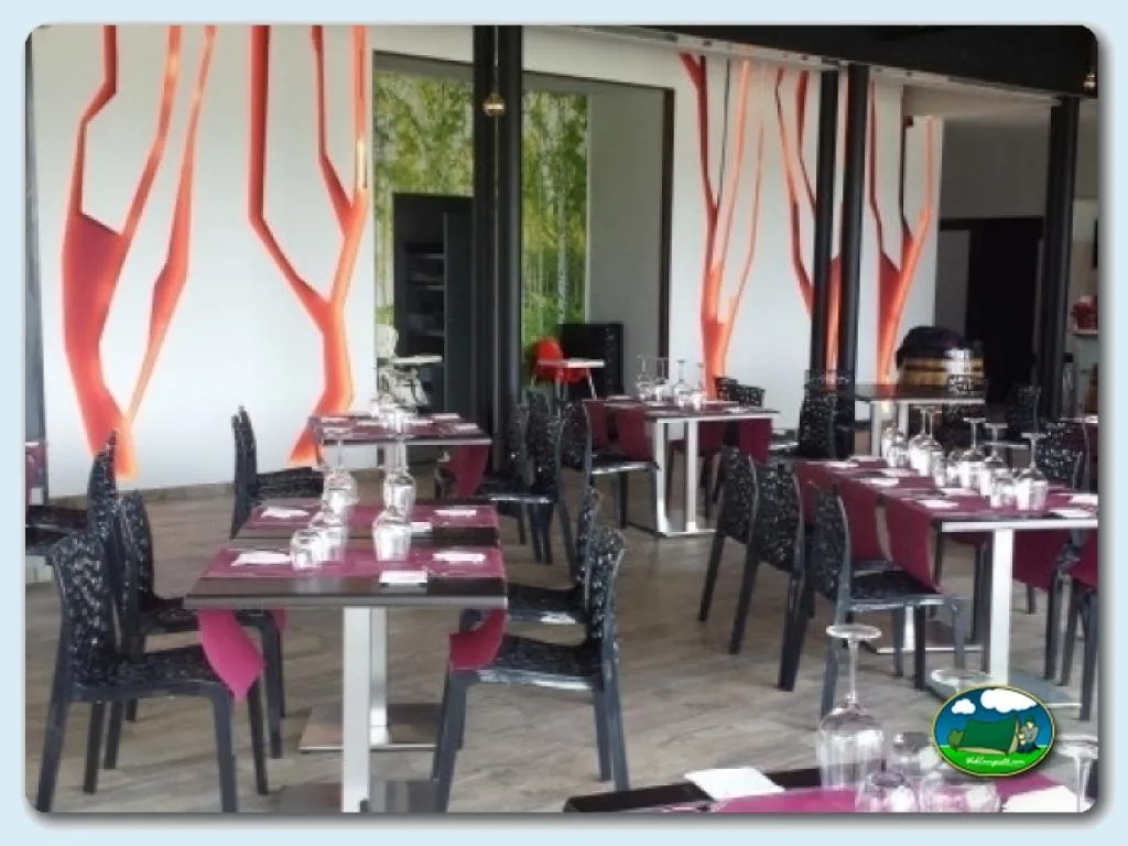 Camping Complejo the Dreams en (Cazalegas - Toledo), Toledo - imagen 3