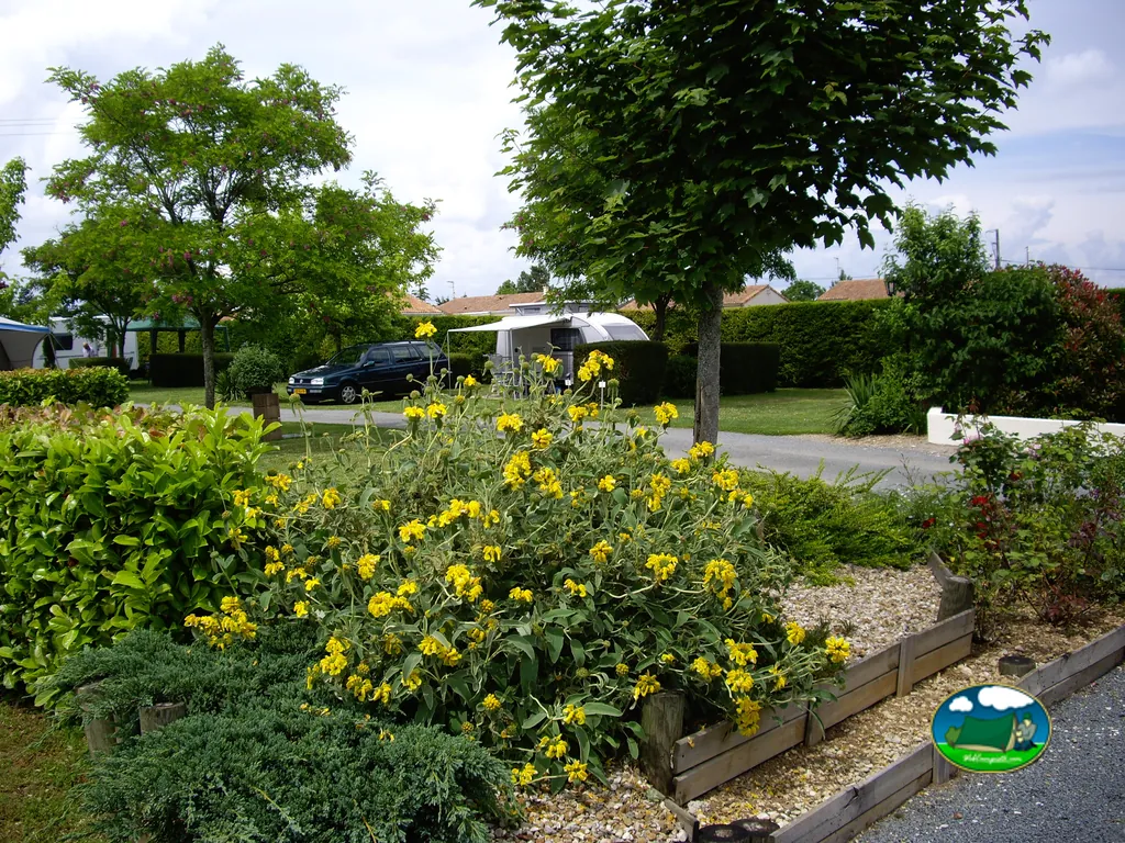 jardín con flores