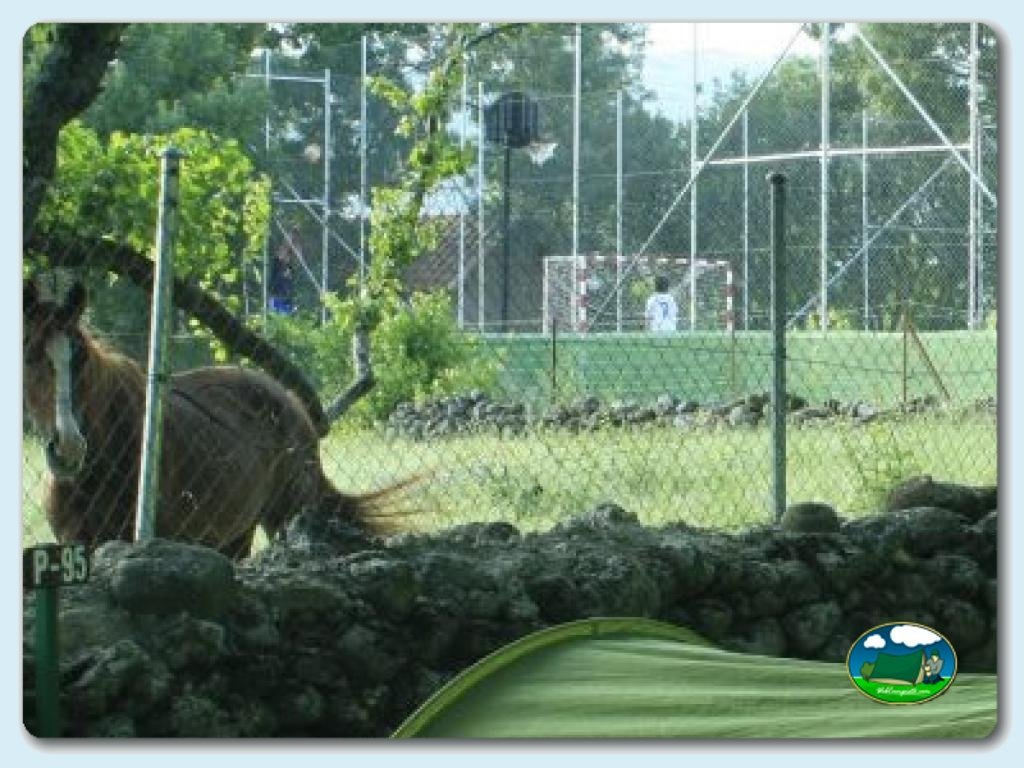 Camping El Pinajarro