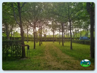 Parcela arbolada con sombra natural del Camping El Pinajarro, Hervás (Cáceres)