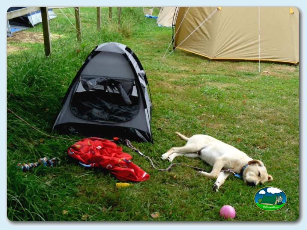 Parcelas en Camping El Pinajarro, Cáceres, España