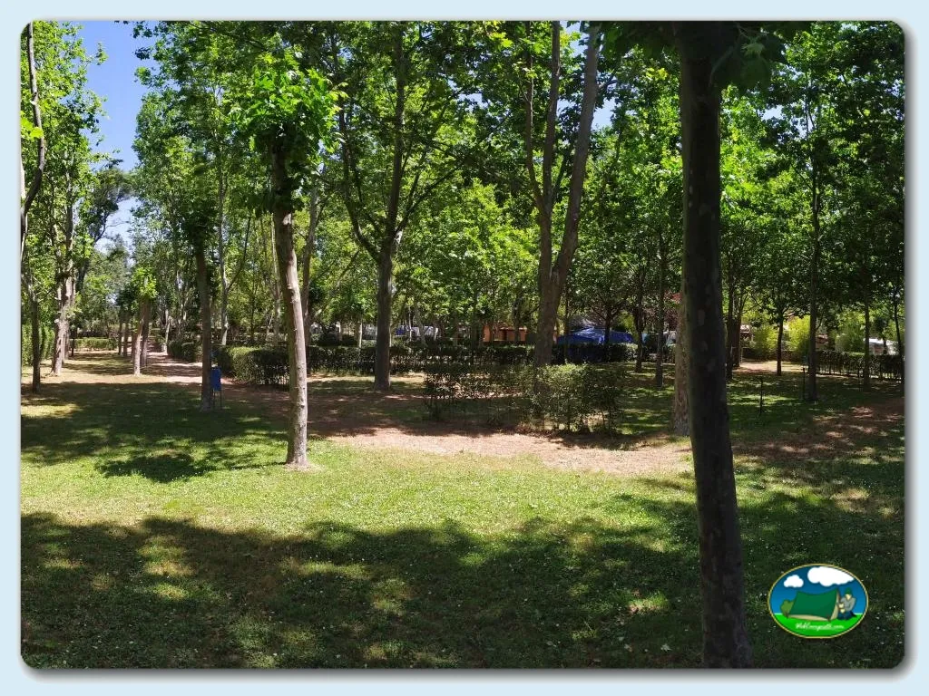 Camping El Pinajarro