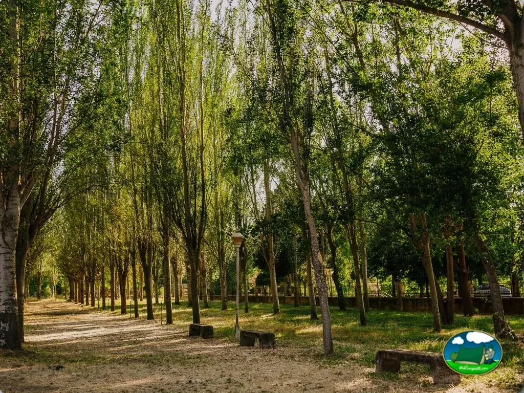 Camping Alba de Tormes en Alba de Tormes, Salamanca - imagen 3