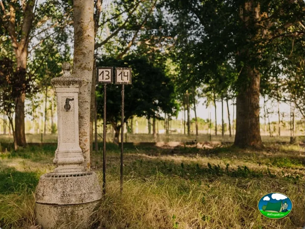 Camping Alba de Tormes en Alba de Tormes, Salamanca - imagen 4