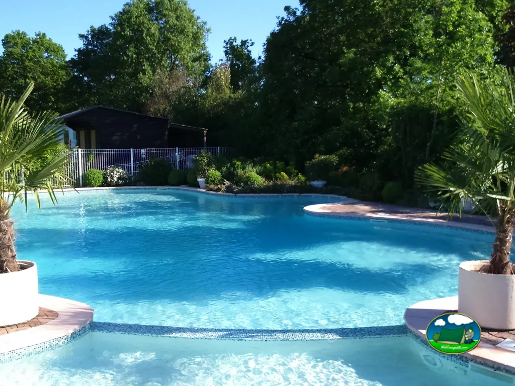 Piscina rodeada de palmeras del Camping Camp Redon, LIVERS-CAZELLES (Tarn)
