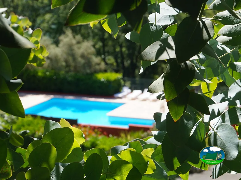 Piscina entre vegetación del Camping Les Philippons, LES ADRETS-DE-L'ESTÉREL (Var)