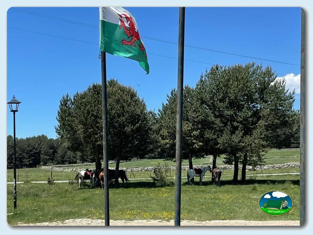 Parcela con caballos y vistas a la montaña del Camping Navagredos, Navarredonda de Gredos (Ávila)