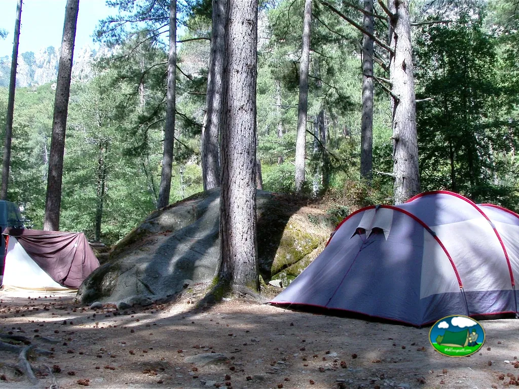 Tienda de acampada entre árboles del Camping de Tuani, CORTE (Alta Córcega)