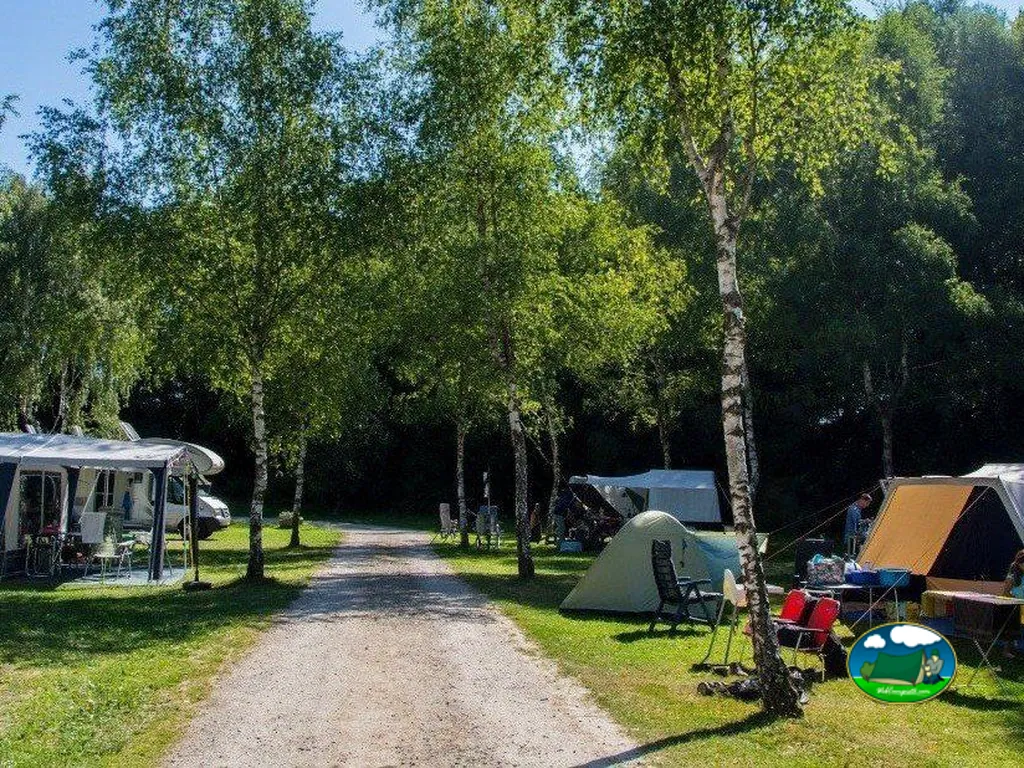 Parcelas arboladas con caravanas de Camping Les Bouleaux, Vilsberg