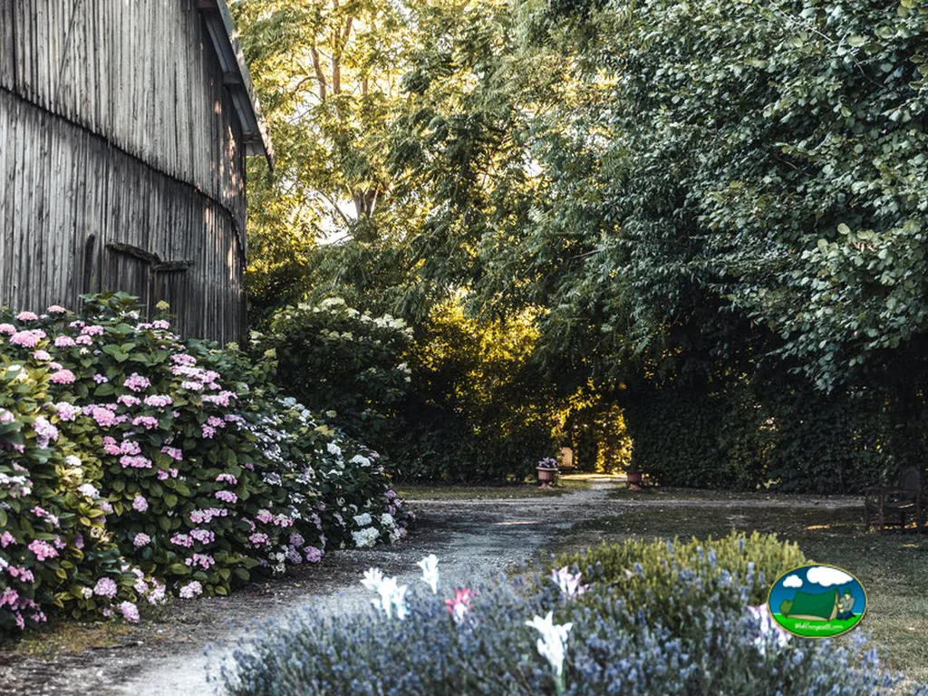 Jardín con flores del Camping des Hortensias, VRAIGNES-EN-VERMANDOIS (Somme)