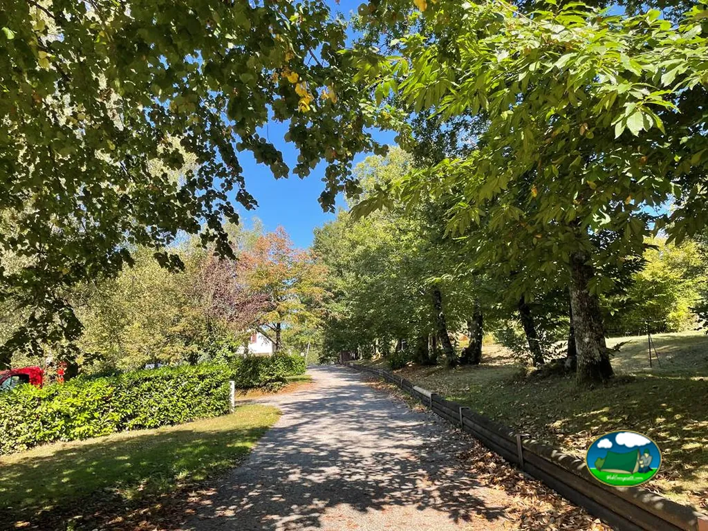 Camino arbolado del recinto del Camping de la Lande, NEXON (Alta Vienne)