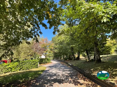 Camino arbolado del recinto del Camping de la Lande, NEXON (Alta Vienne)