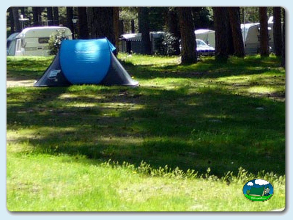 foto del camping Camping La Ruta de Gredos