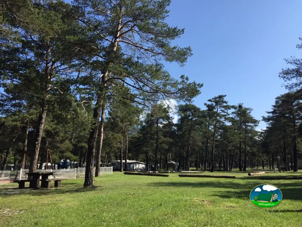 Parcela entre pinos del Camping Municipal Les Iscles, SAINT-ANDRÉ-LES-ALPES (Alpes de Alta Provenza)