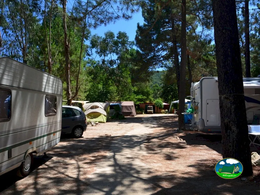 Parcelas entre árboles del Camping-Restaurant U Rosumarinu, SOLENZARA (Córcega del Sur)