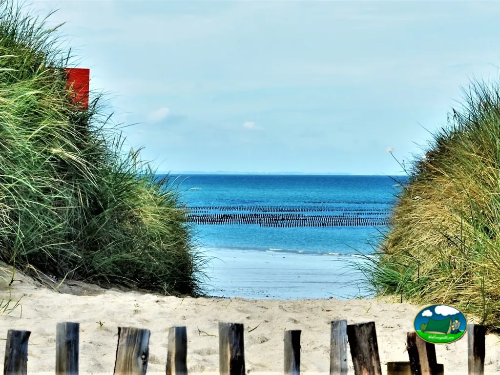 Playa junto al mar del Camping L'Oasis de la Plage, DONVILLE-LES-BAINS (Mancha)