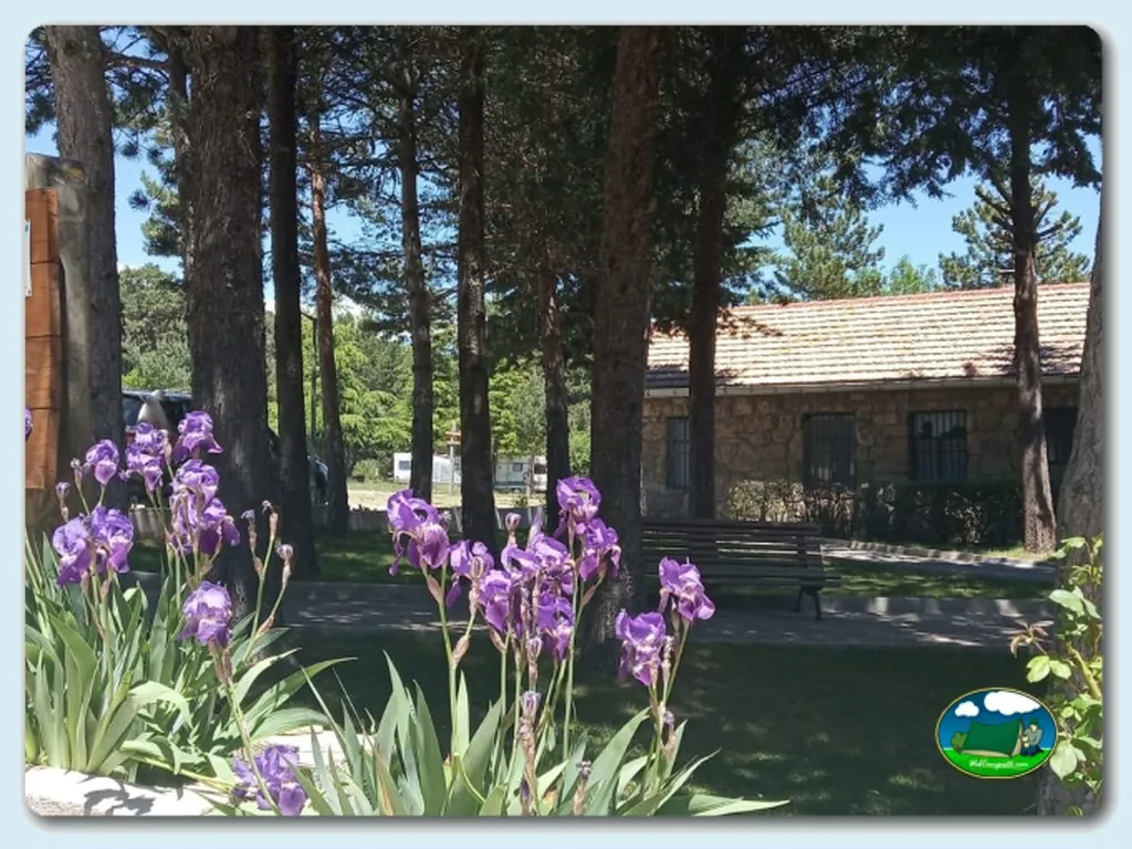 Cabaña de piedra entre pinos con iris morados del Camping La Nava, Peguerinos (Ávila)