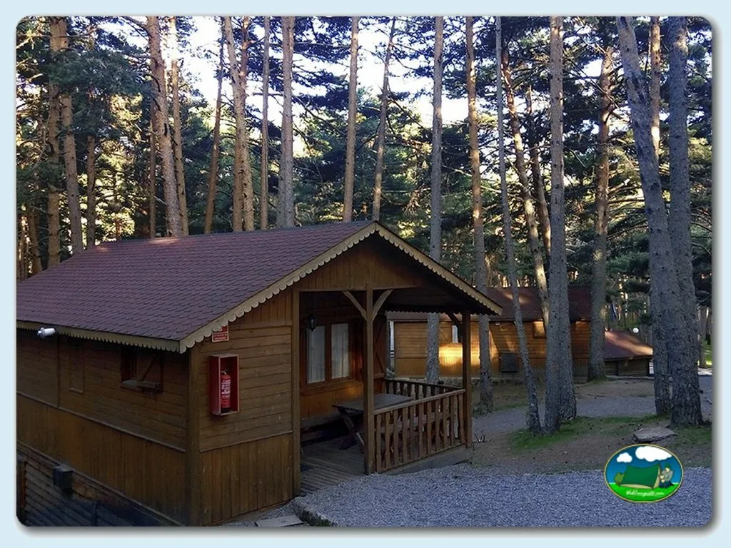 Cabaña con vistas a bosque de pinos del Camping Valle Enmedio, Peguerinos (Ávila)