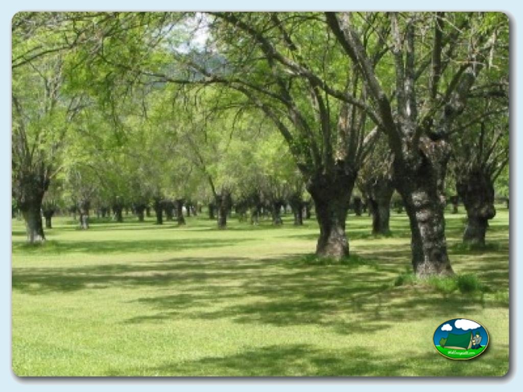 Camping Capfun El Escorial foto de Zona libre