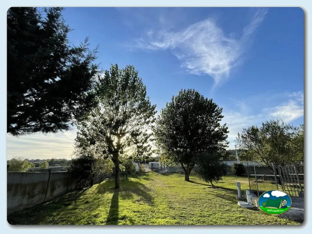 Camping San Juan en Valdemorillo - imagen 4