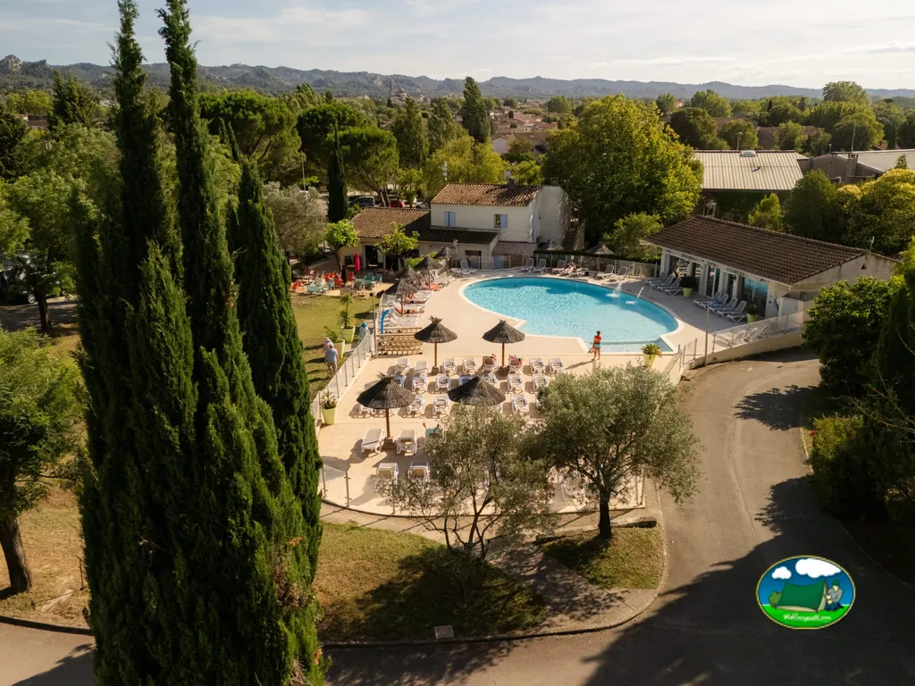 piscina entre olivos