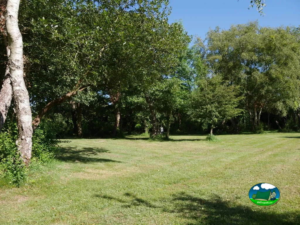 Pradera entre árboles