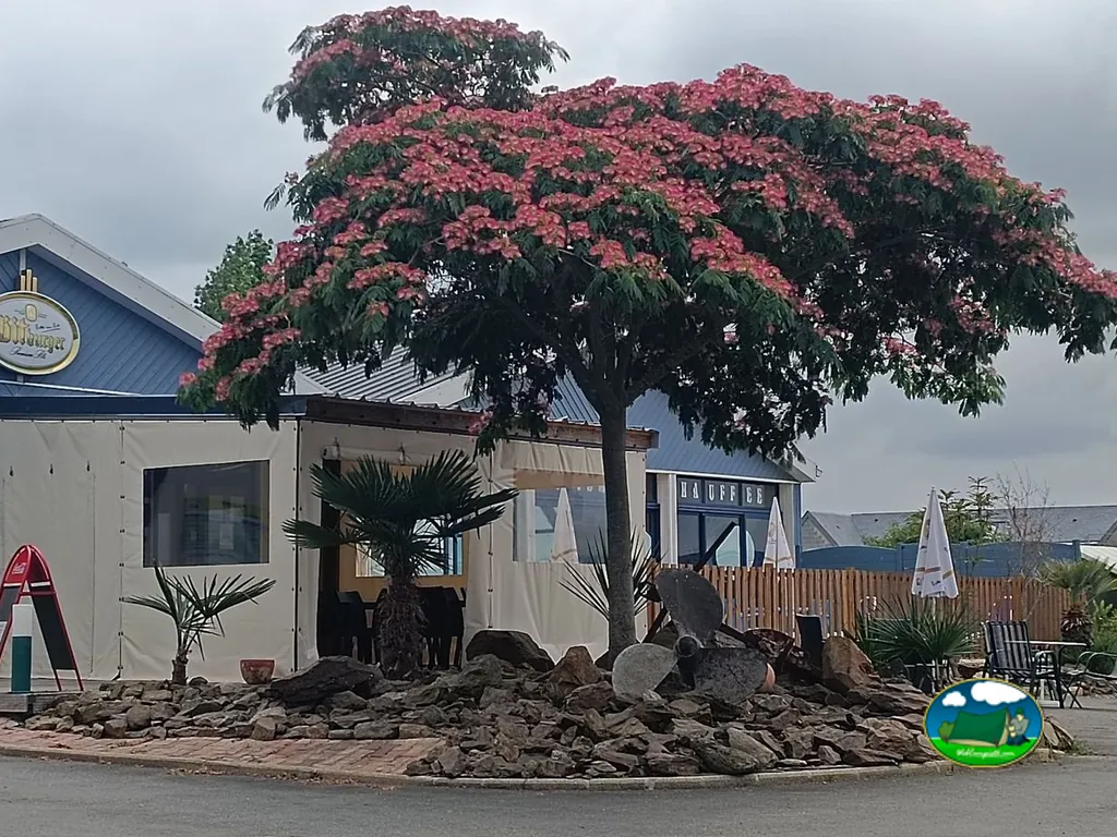 Fachada con flores