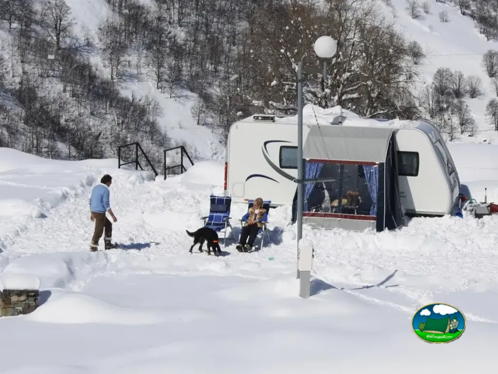 caravana en nieve con perro