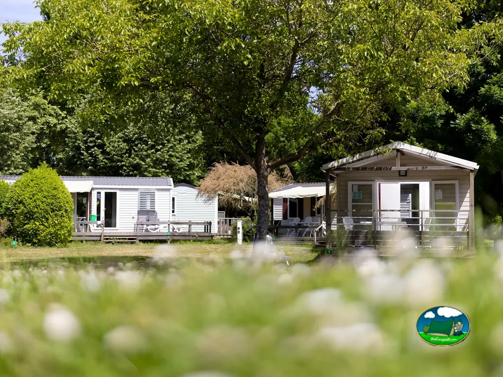 casas móviles entre árboles